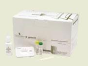 Clearview H. pylori II