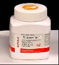 Topical Anesthetics Xylonor Gel