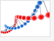 Key gene found responsible for chronic inflammation, accelerated aging and cancer